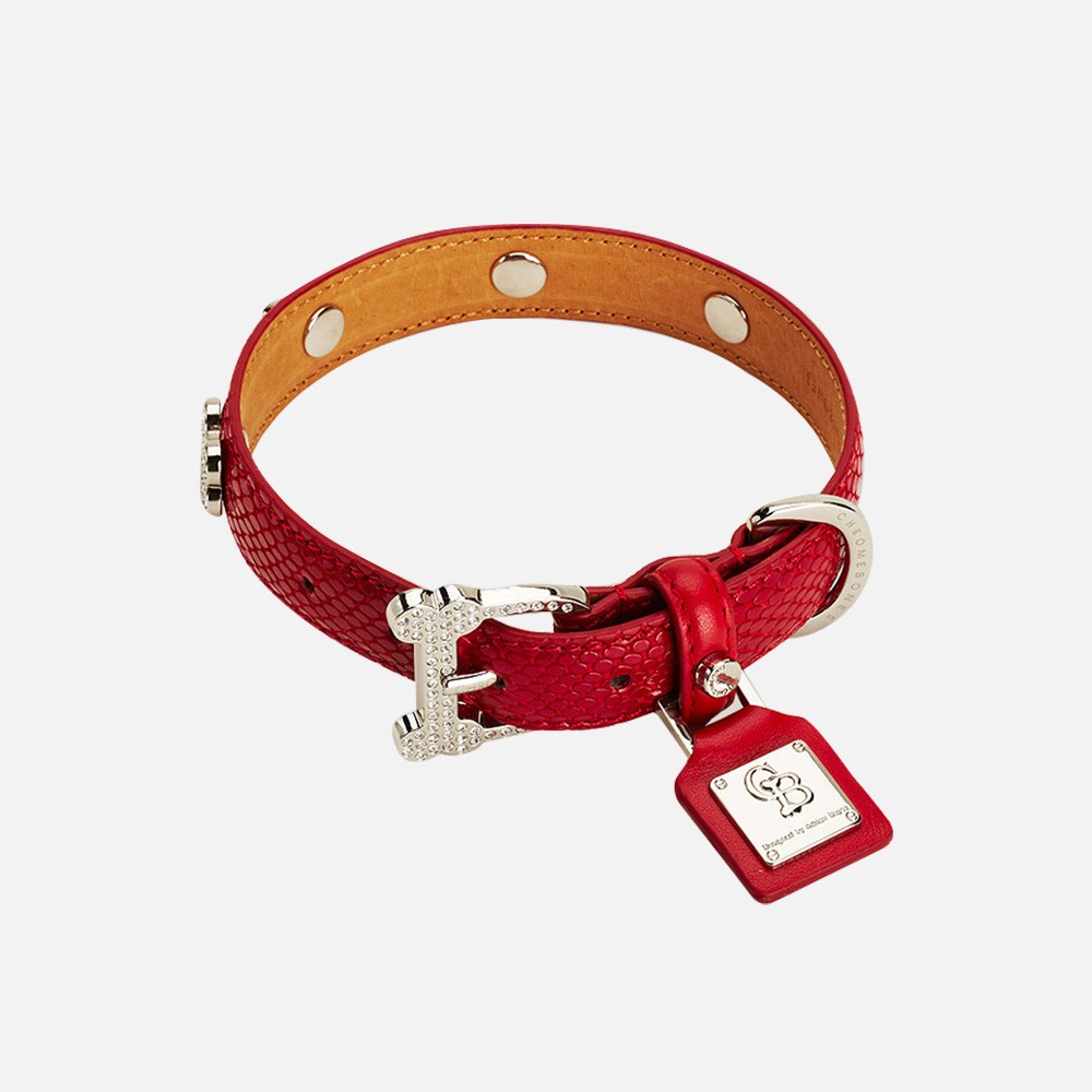 pet-collars-harnesses