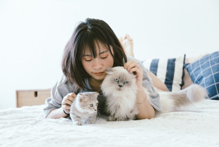 The Ultimate Guide to Pet Grooming & Hygiene Products