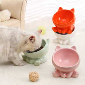 Ceramic Cat Bowl - 2