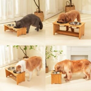 Dog Bowl Rack For Dogs - 1