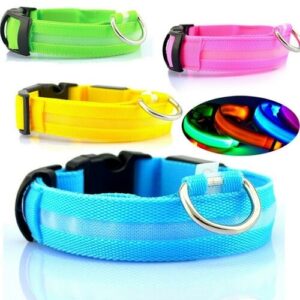 USB rechargeable LED pet dog collar - 1